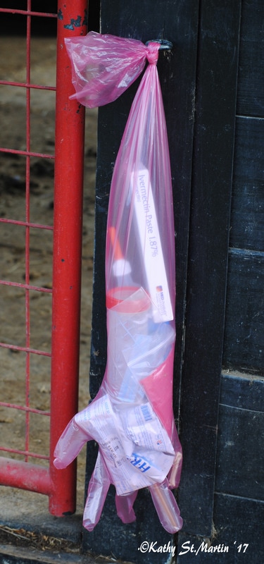 An OB palpation glove to hold the items for your foaling kit